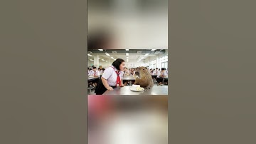 Capy bị Lan bắt gặp ăn bánh kem ... và cái kết không ngờ! #capybara