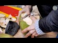 아주 시원시원하게 코코넛 자르는 베트남 아가씨!!! | Coconut Cutting Skills |  korean street food