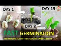 करेले के बीज कैसे लगाएं | How to Germinate Bitter Gourd Seeds| Karele Ke Beej Kaise Lagaye easy way