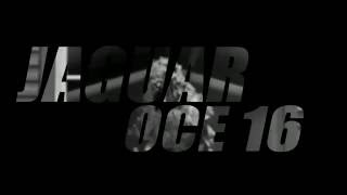 OCE 16