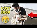 I FOUND a LOST ABANDONED DOG! 🐶 Can We HELP Him? (Emotional Animal Video)