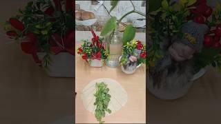 हरा धनिया पराठा#viral #funny #food videos #recipe #food #trending #prata #prank #india #trend