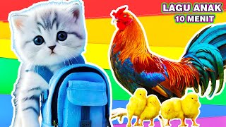 ANAK KUCING MEONG MEONG - KUKURUYUK | Lagu Anak - Anak | Kompilasi Kucing Lucu