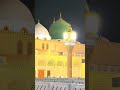 ap hai ya Nabi #naat #shorts #madina #islamicstatus #rozarasool #shorts #naatsharif