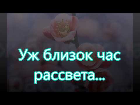 Видео: Ето близо час на „Смъртоубиенето“, за да можете да опитате и да разберете какво се случва