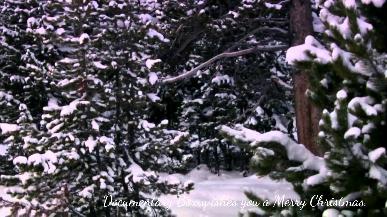 Christmas in Yellowstone Nature Documentary - YouTube