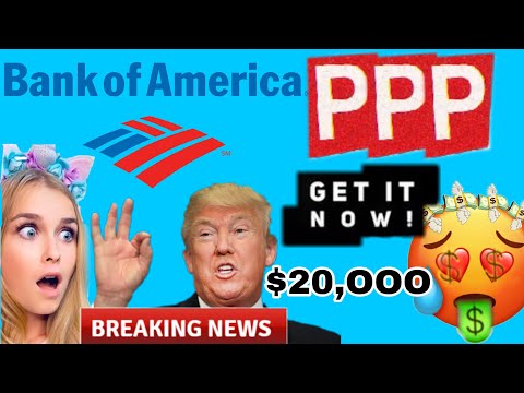 Bank of America PPP Application (THEY RESPONDED) [HOW TO APPLY]