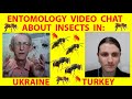 Spring Insects in Ukraine and Turkey: Dangerous or Beneficial Insects Outdoors / near Houses?