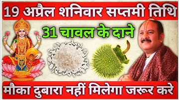 19 अप्रैल शनिवार सप्तमी को 31 चावल दाने वाला उपाय जरुर करे || Pradeep Ji Mishra #shaniwar