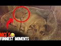 Nicis funniest moments the best dog ever 