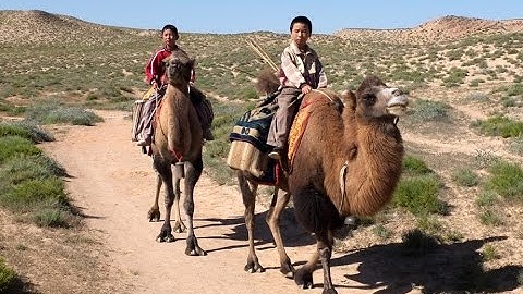 両親に会うべく幼い兄弟が旅に出る！映画『僕たちの家に帰ろう』予告編