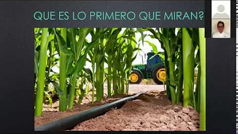 ¿Cuál es la relacion que existe entre el suelo el agua y las plantas?