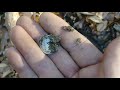 The Woods Spill #13 Metal Detecting..AT Max/Pro