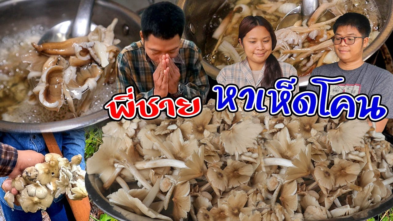 โคตรคุ้ม!! เข้าป่าหาเห็ดโคนได้เยอะมาก!! คลิปนี้เปิดตัวพี่คนโต I SANSOOK