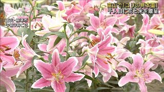 富山で「ユリの見本園」　千人目に花と米を贈呈(2023年7月9日)