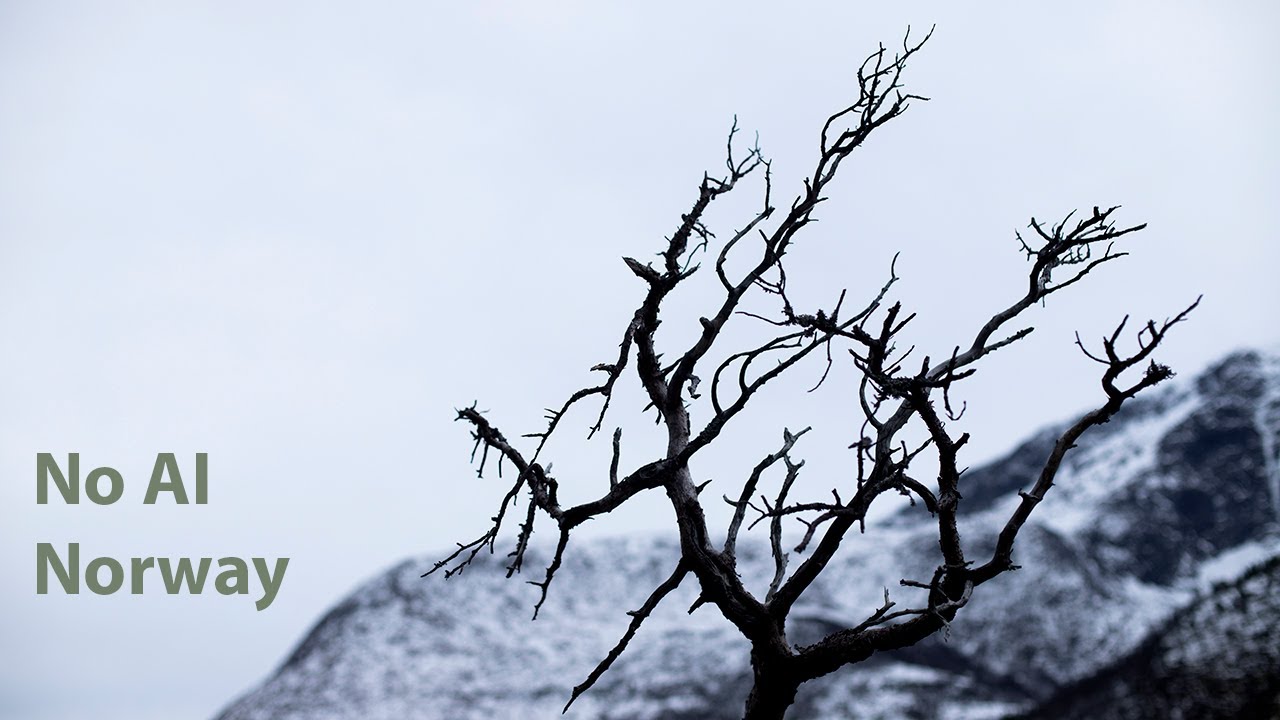 Real Norwegian Nature Sounds: 3 Hours of Windy Forest (No Music, No Talking, No AI)