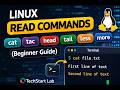 Linux Read Commands | cat, tac, head, tail, less, more (Beginner Guide)