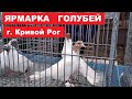 Выставка-ярмарка голубей и декоративных птиц. (22 февраля г.Кривой Рог Украина) ЧАСТЬ 1