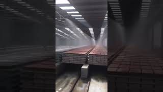 Curing Kilns for the curing before the block sold!