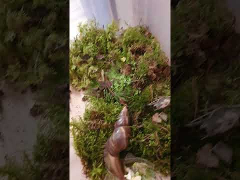 Как себя чувствует
