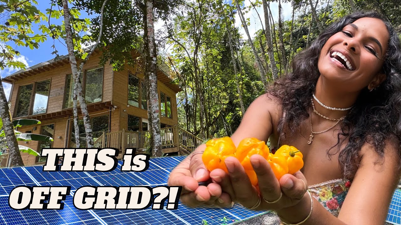 Это действительно без сети? Внутри моей жизни на Ямайке, где всё работает на солнечной энергии 🇯🇲