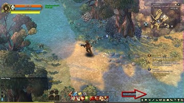 Randoluma Rest Place - EXP and Silver 100% Works | Tree of Savior