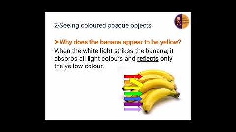 science grade 5 unit 1 lesson 2 seeing coloured objects