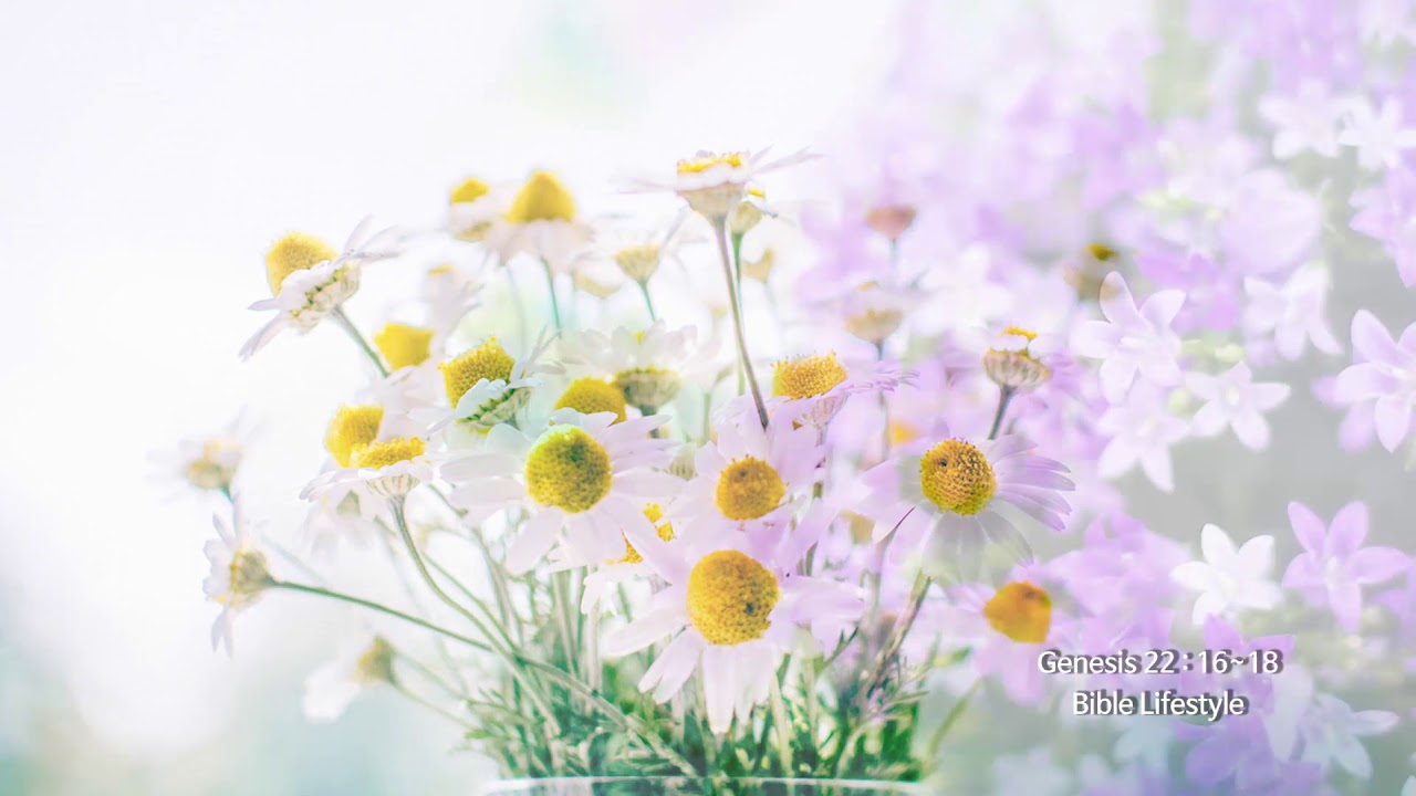 the-bible-lifestyle-with-shincheonji-church-genesis-22-16-18-youtube