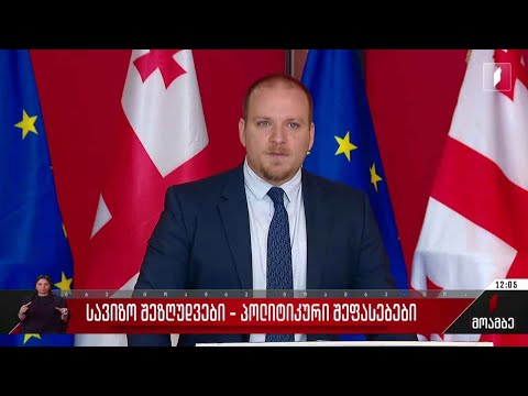 სავიზო შეზღუდვები - პოლიტიკური შეფასებები