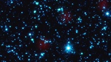 More Than A Hundred Galaxies At The Chandra Deep Field South Imaged By ALMA