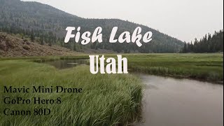 Exploring Fish Lake, Utah| Mavic Mini Drone, GoPro Hero 8, Canon 80D