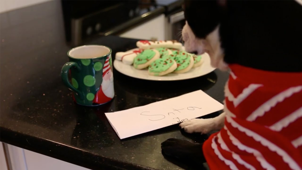 Twas the Night Before Christmas - Holiday Pet Care with Rover