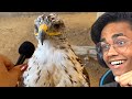 Interviewed ANIMALS With a TINY MIC😂