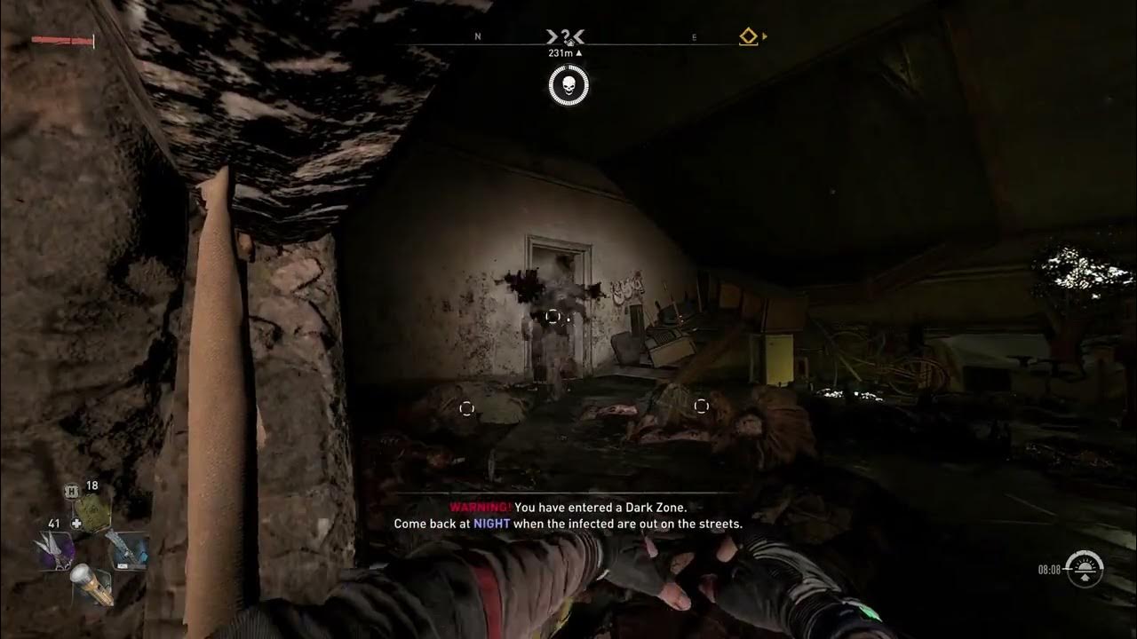 Dying Light 2 This was satisfying. Fully upgraded Throwing knives doing
