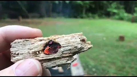 Why Haven’t You Made Charred Punk Wood Yet? It’s So So Easy!