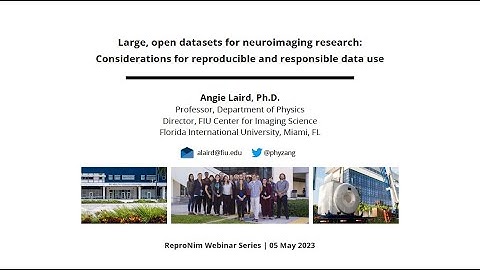 Large, Open Datasets for Neuroimaging Research