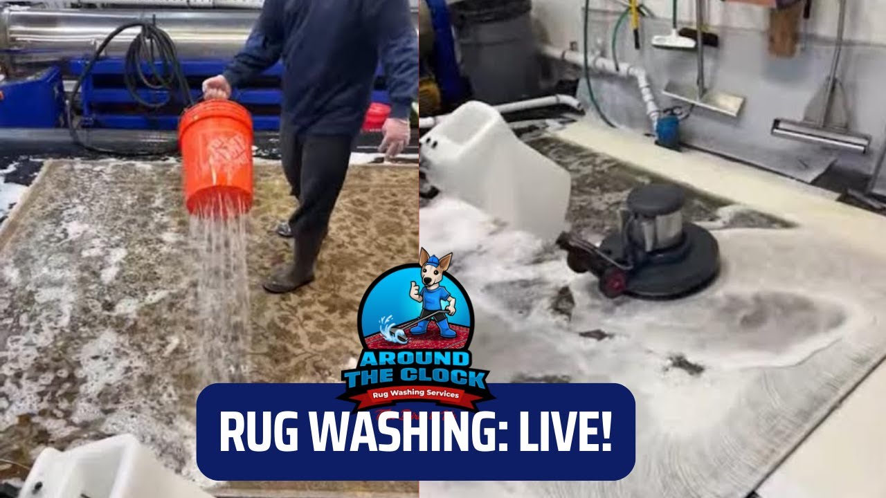 Real Rug Wipe LIVE VIDEO: Washing a BIG wool rug! #rugwashing #livestream # ...