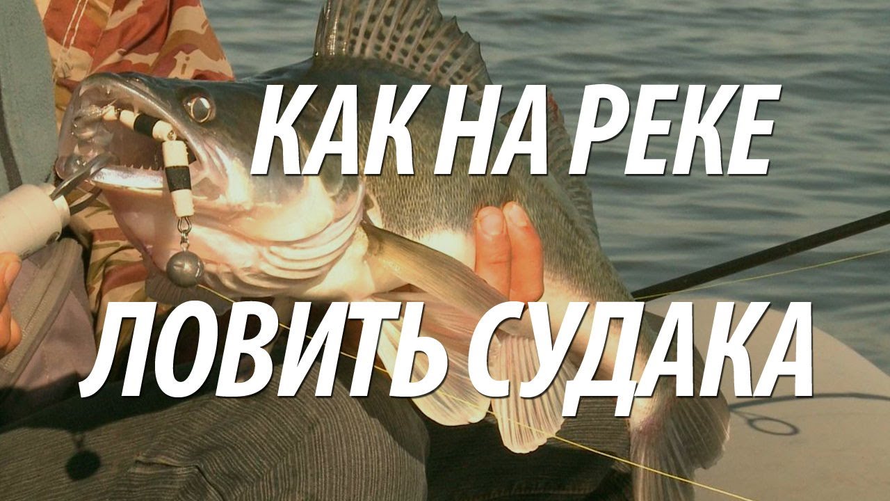 зимняя рыбалка на судака видео