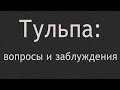 Тульпа: вопросы и заблуждения