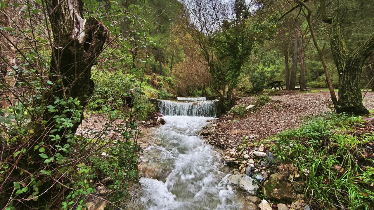 AXARQUÍA NATURAL, AXARQUÍA RURAL, AXARQUÍA MGUSTA...