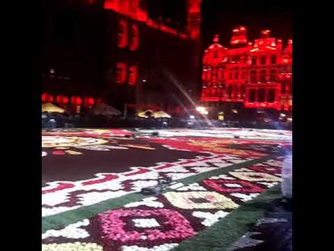 Vídeo: La Alfombra De Flores Con Temática Mexicana De Bruselas Está Hecha Con 500,000 Flores