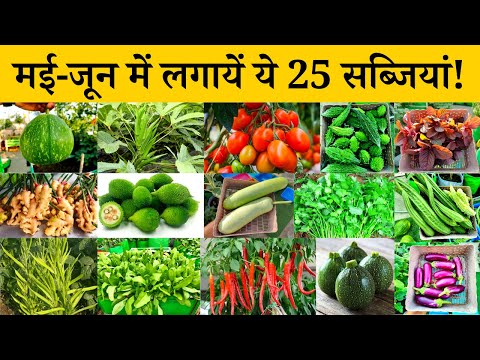 वीडियो: जोन 6 सब्जी उद्यान: जोन 6 में सब्जी लगाने के टिप्स