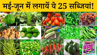 मई जून में कौनसी सब्जी लगाये | May June Me Konsi Sabji Lagaye | Which vegetable to plant in May June