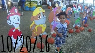 HANGING OUT WITH THE PAW PATROL GANG | PUMPKIN PATCH 2016