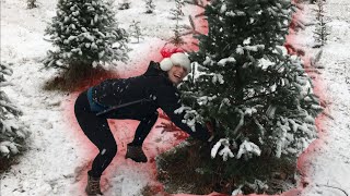 CUTTING DOWN OUR CHRISTMAS TREE IN A BLIZZARD