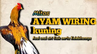 AYAM BANGKOK BERBULU WIRING KUNING, Mitos dan cerita rakyat