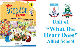 Class Four Science Unit#1 What the Heart Does. Allied School