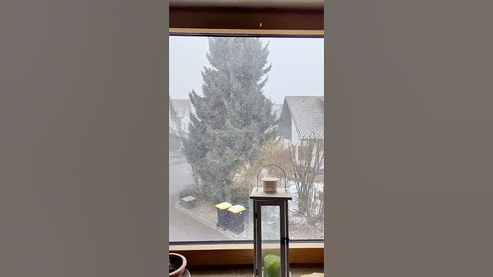 Schneesturm in Deutschland #sturm #wetteraktuell #wetter #schneesturm