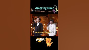 Thumbnail of Beautiful Music! Amazing Duet of Zhou Shen 周深 & C.Y. Liao  TikTok never_end_loving_charlie
