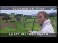 El Ocaso Del Líder, La Ley Del Toro